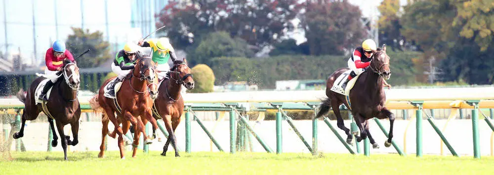 【東京6R新馬】キラーアビリティ半弟ジェイパームスが快勝　ジャスタウェイ産駒