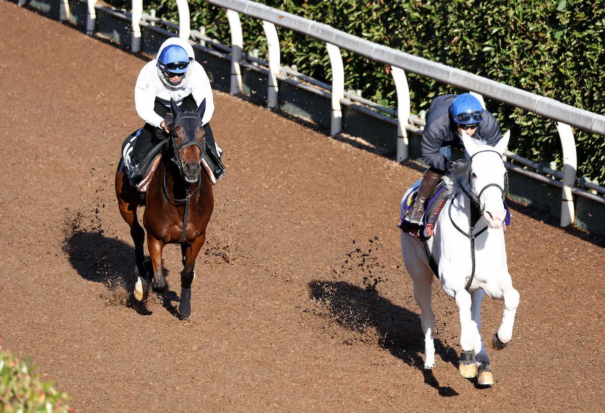 吉田隼人を背に坂路をブライトサイン（左）と併せ馬で追い切るソダシ