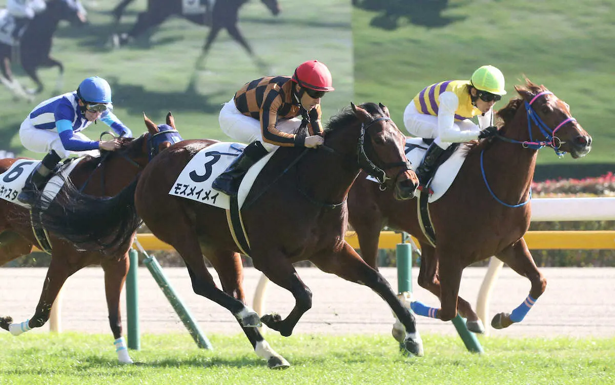 【東京新馬戦】唯一の関西馬モズメイメイ　ライバルの間を縫った！ルメール「能力がありそう」