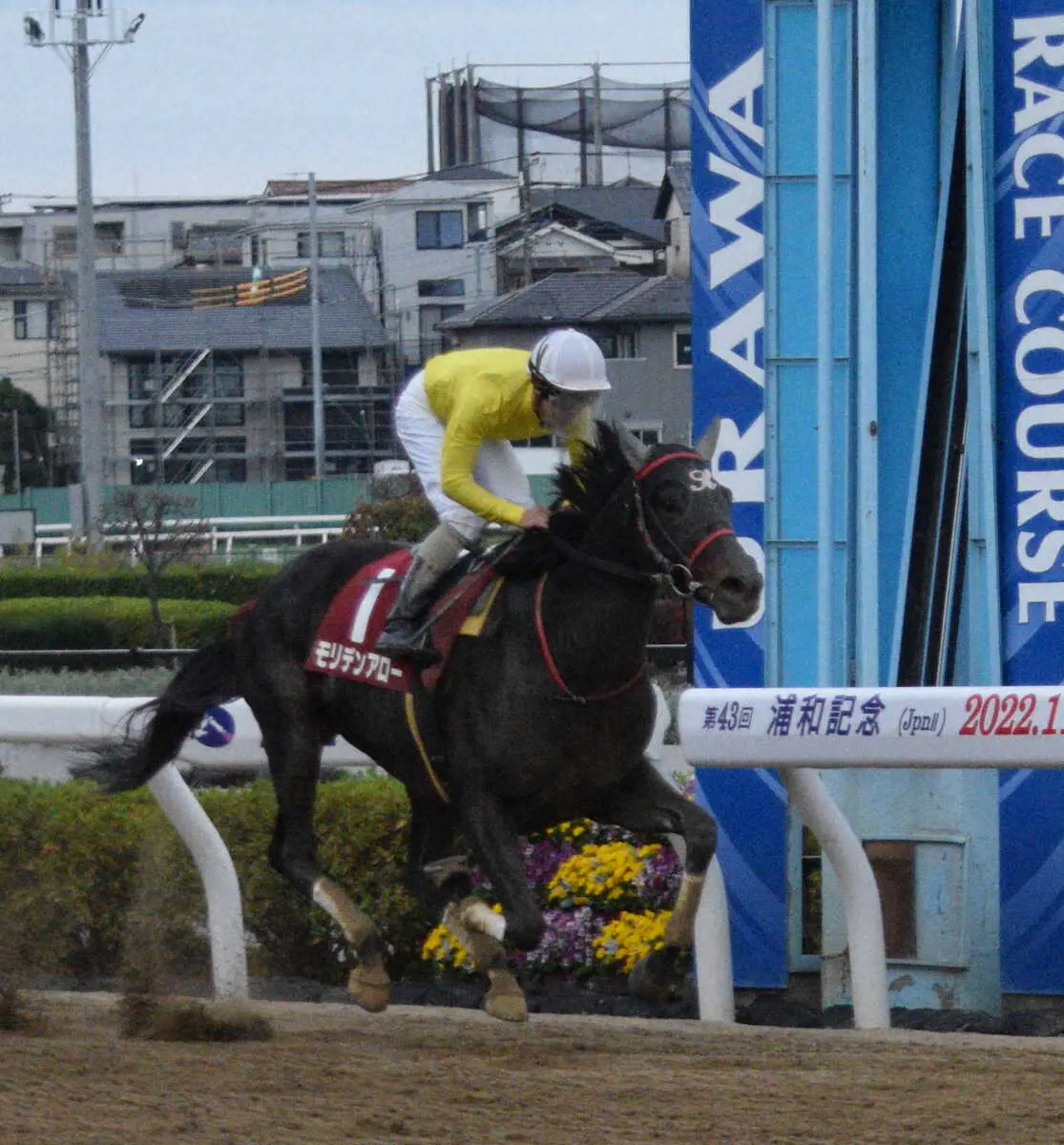 22日の浦和競馬のまがたま賞を制したモリデンアロー