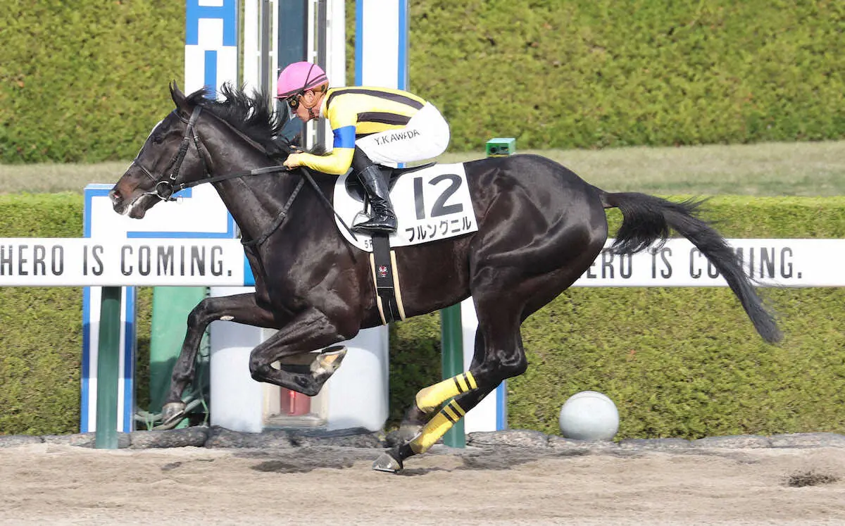 【阪神5R新馬】フルングニル完勝　川田「いい形で成長していけたらと思います」