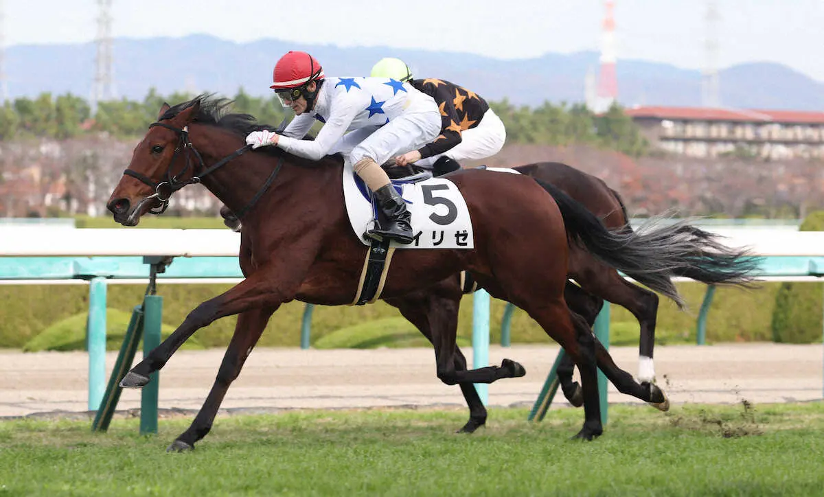 【阪神6R新馬】イリゼが差し切りV　秋山「芝の走りも良かった」