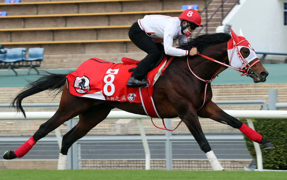 【記者の目】香港の硬い芝、日本馬への影響は？　ターフの状態はどの陣営に味方するのか