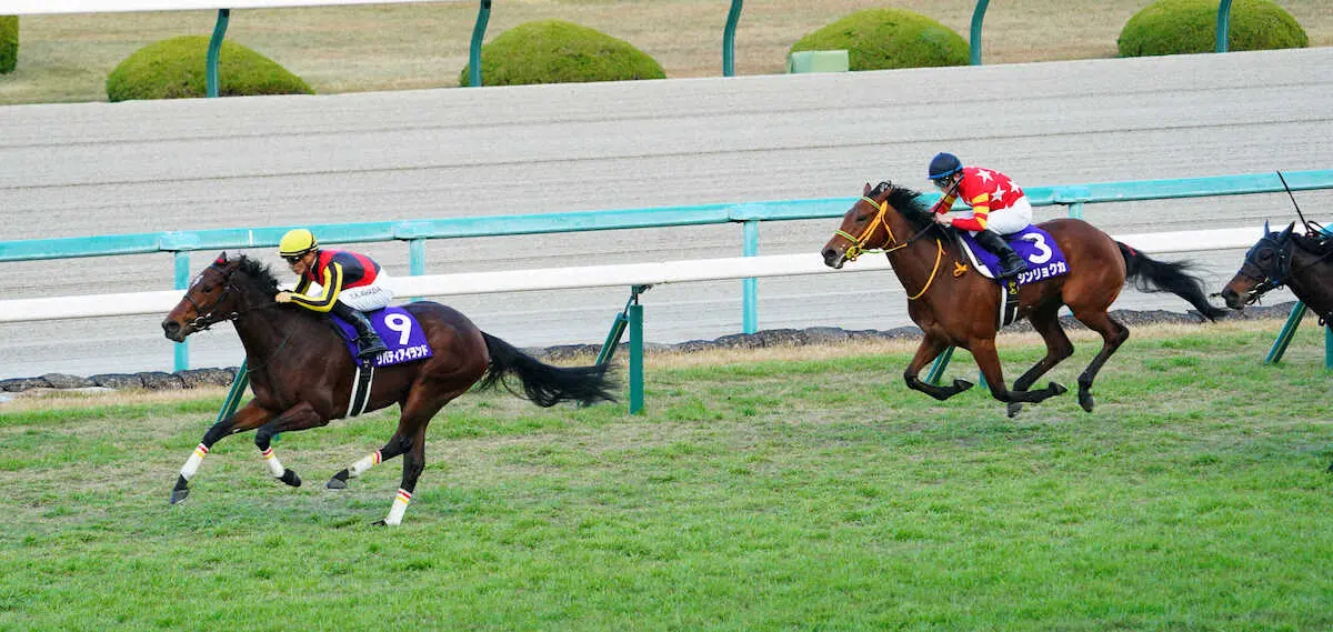 【阪神JF】リバティアイランド2歳女王に！！川田「この馬らしい走り」完勝で前走のリベンジ