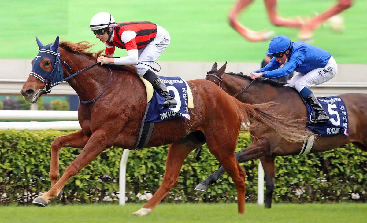 【香港ヴァーズ】ウインマリリンが日本牝馬で初V！！悲願のG1タイトル、手塚師「まさに神騎乗」