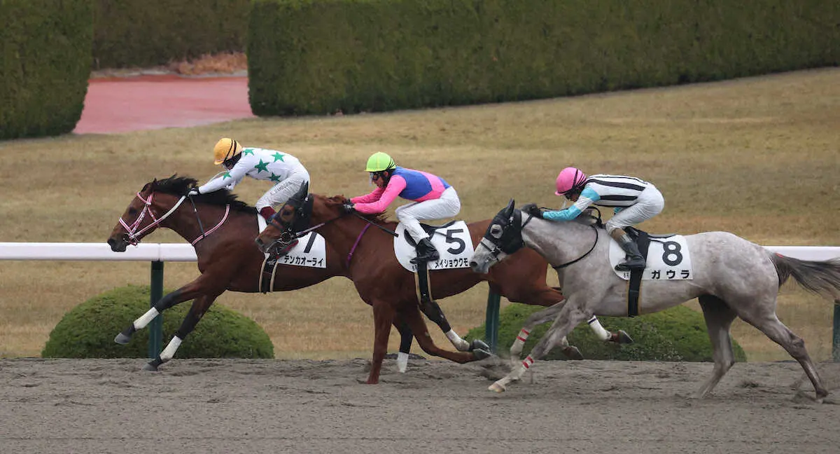 【阪神6R新馬】テンカオーライがV　鮫島駿「精神面や馬体的にも成長の余地を残しています」