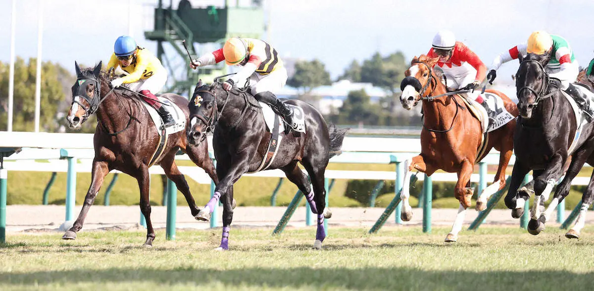 【阪神5R新馬】プッシュオンがV　松山「強い競馬をしてくれました」