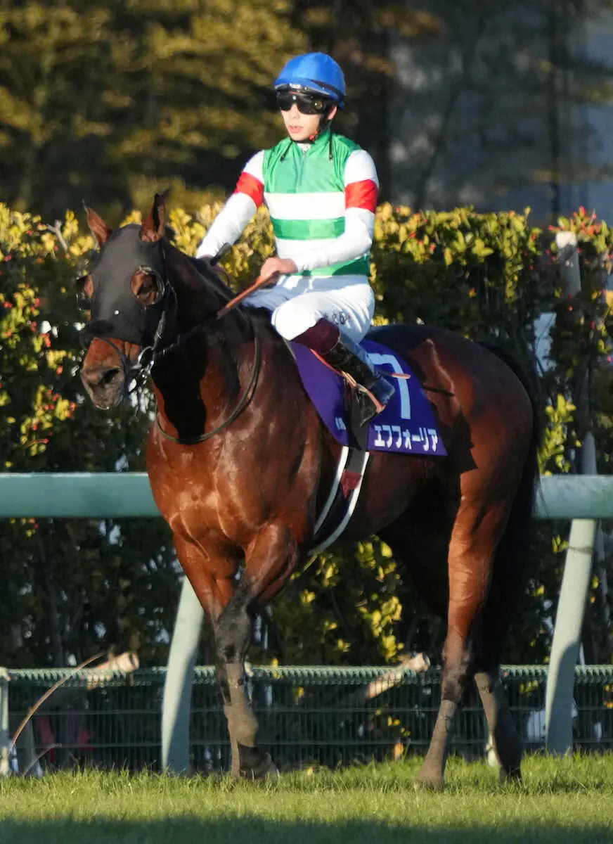 【有馬記念】横山武「やりたい競馬はできた」エフフォーリア5着も「得るものがあったレース」