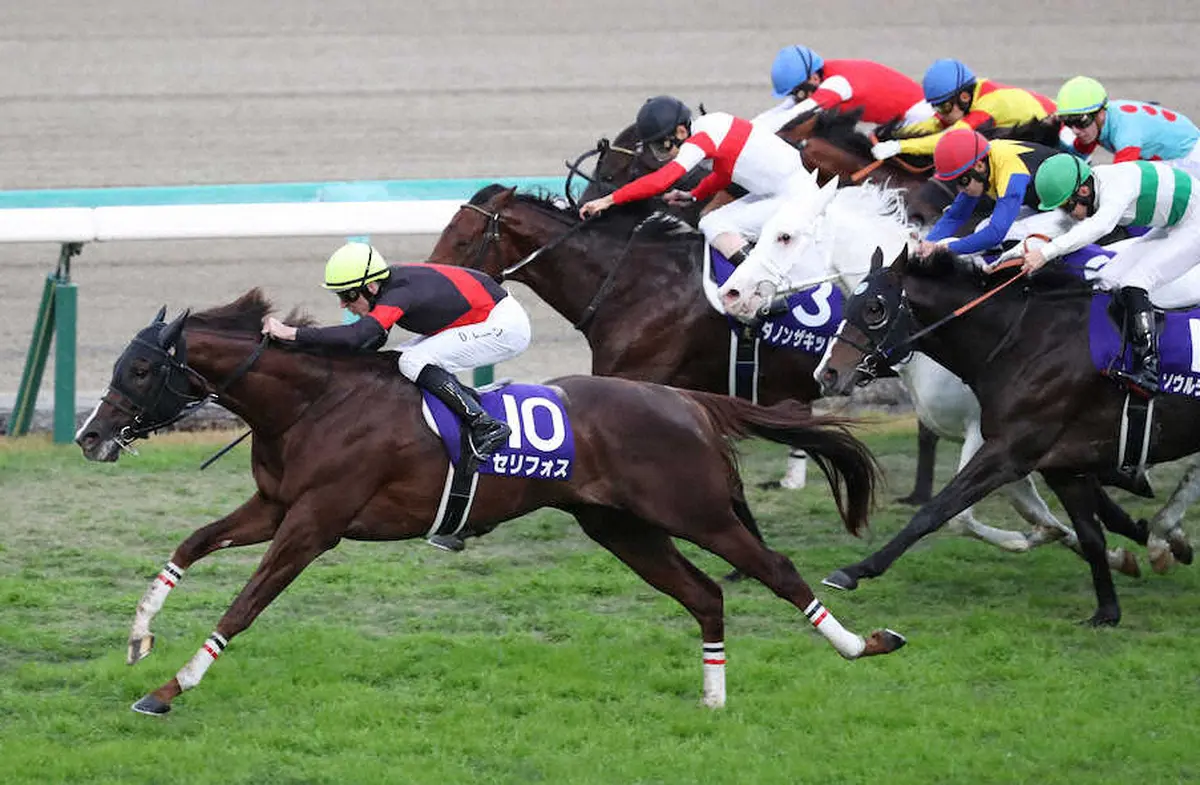最優秀短距離馬はセリフォス　桁違いの末脚を評価、中内田師「今年の活躍を期待」