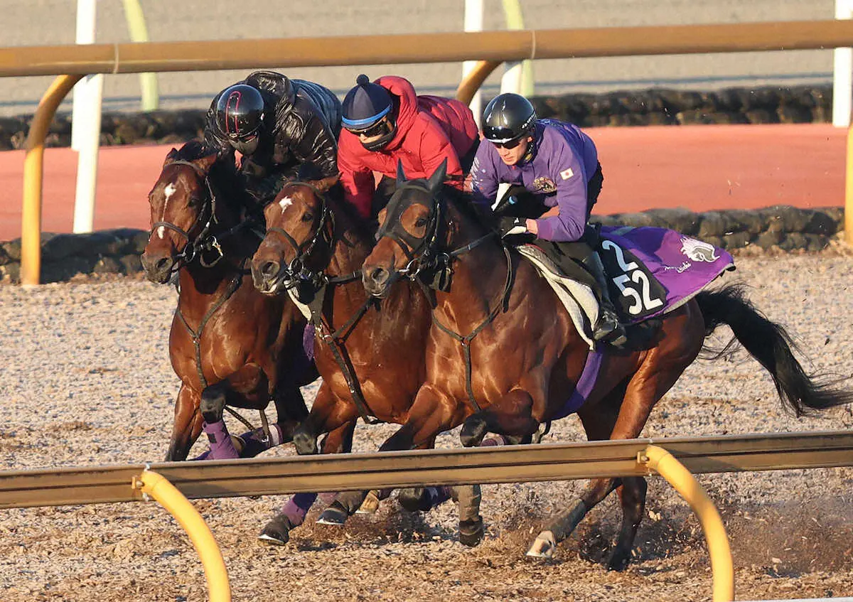 昨年のダービー馬ドウデュース　京都記念へ初の併せ馬、友道師「いい感じで初戦を迎えられそう」