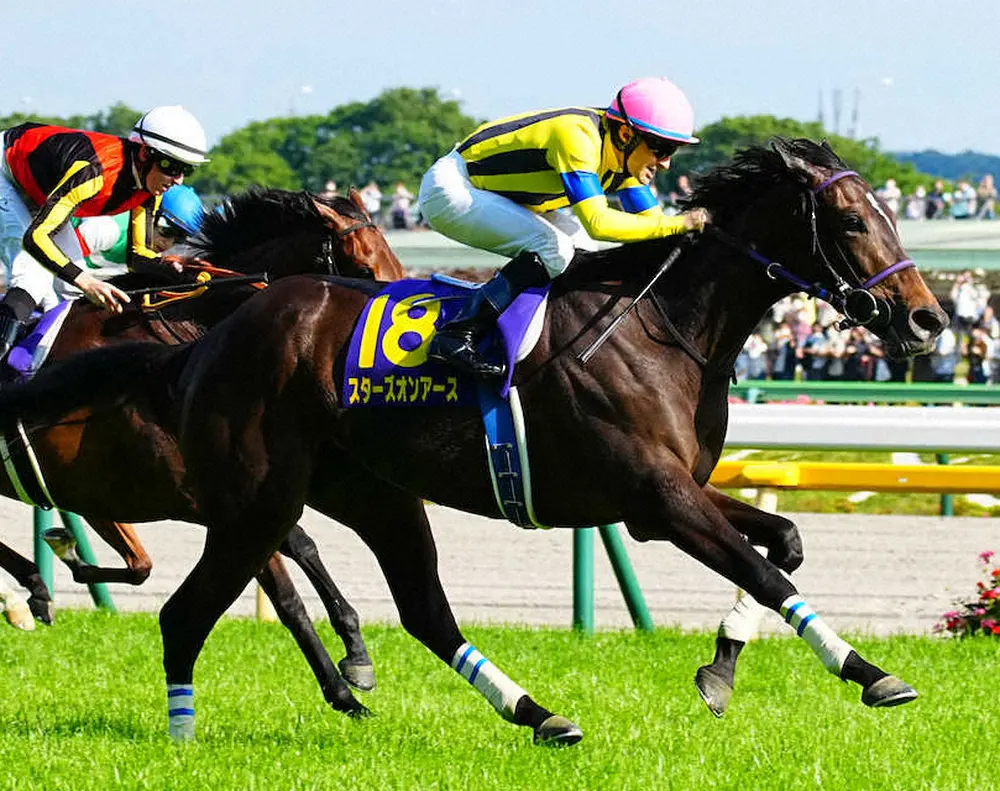 2冠牝馬スターズオンアース、大阪杯での復帰を検討
