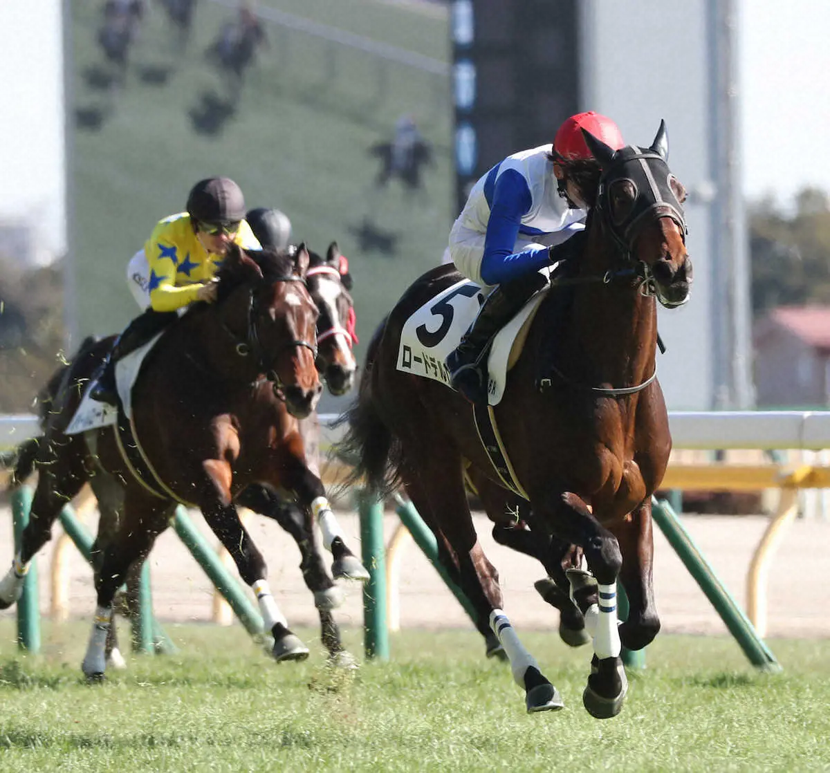 【東京新馬戦】ロードデルレイ　4馬身差の圧勝　坂井「ラストはかなりいい脚」