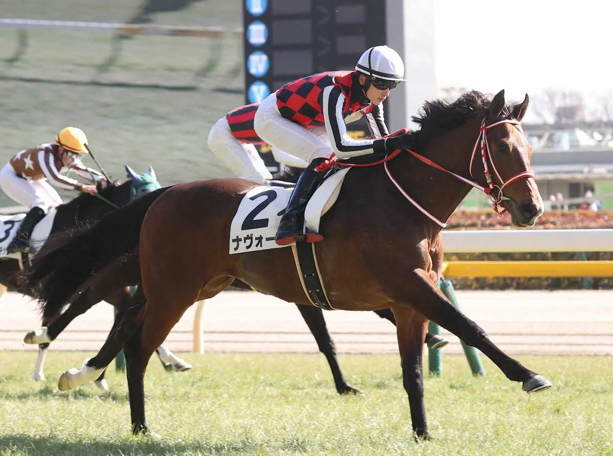 【東京6R新馬】シュネルマイスターの半弟ナヴォーナが初陣V　坂井「能力はかなり高い」