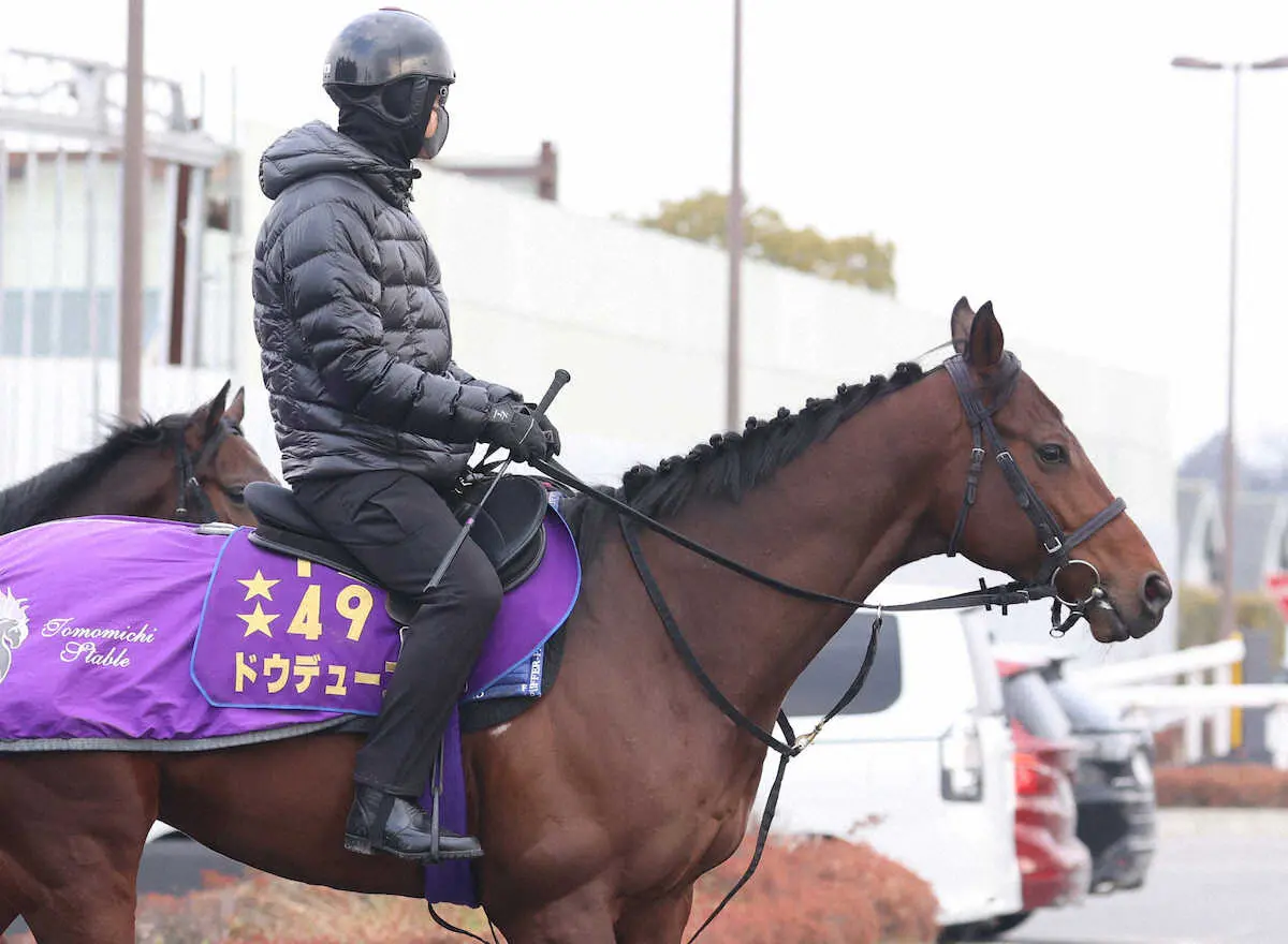 【京都記念】ドウデュースは508キロで昨年ダービーから18キロ増　馬体重発表