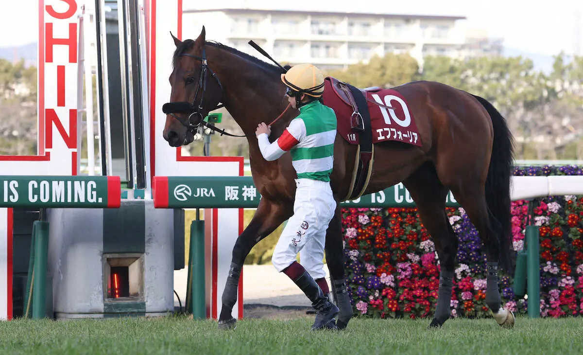 エフフォーリア引退、種牡馬入り　12日の京都記念で心房細動のため競走中止　公式サイトで発表