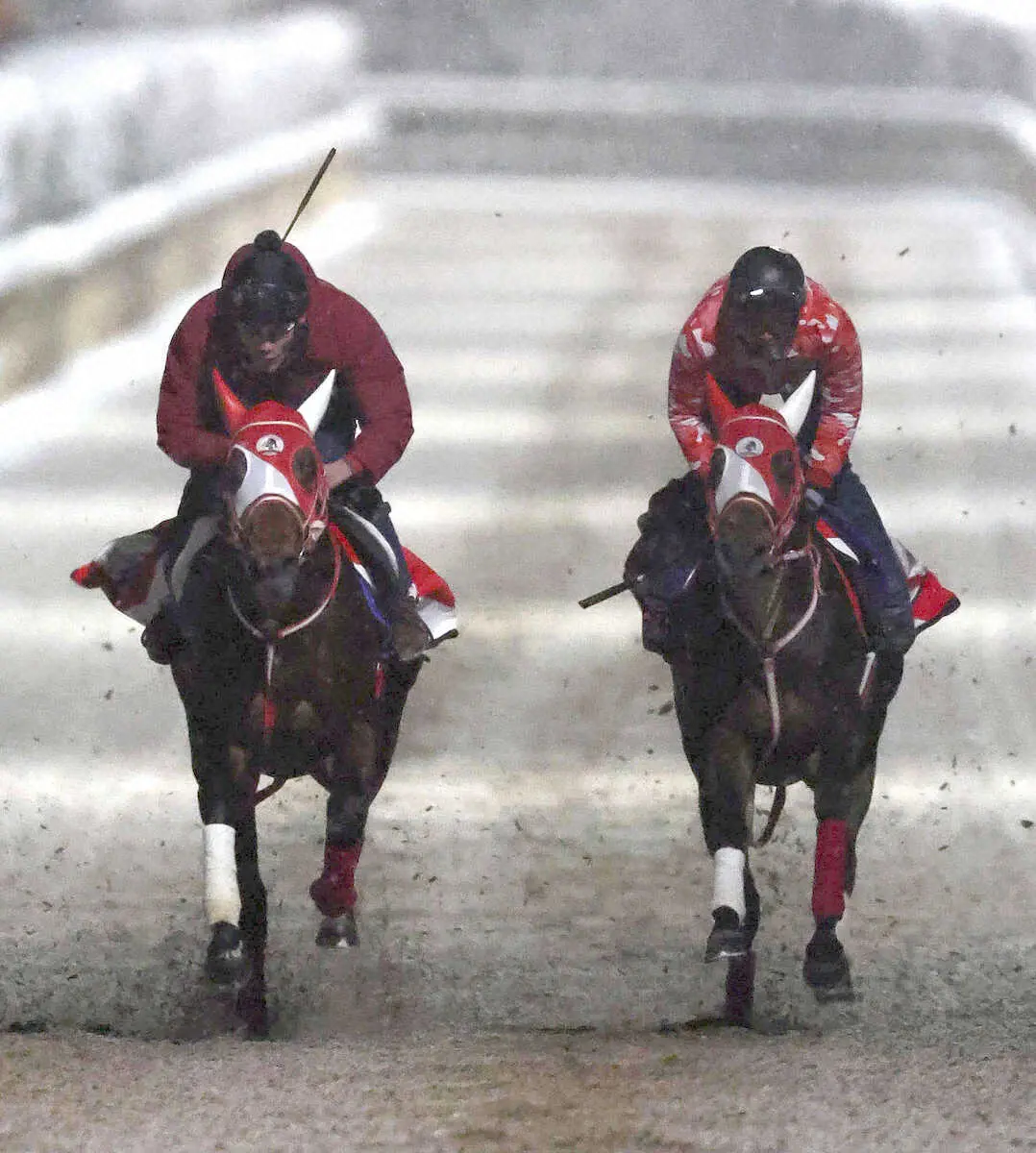 雪の降る未明の坂路で併せ馬で追い切るバスラットレオン（左）とパンサラッサ