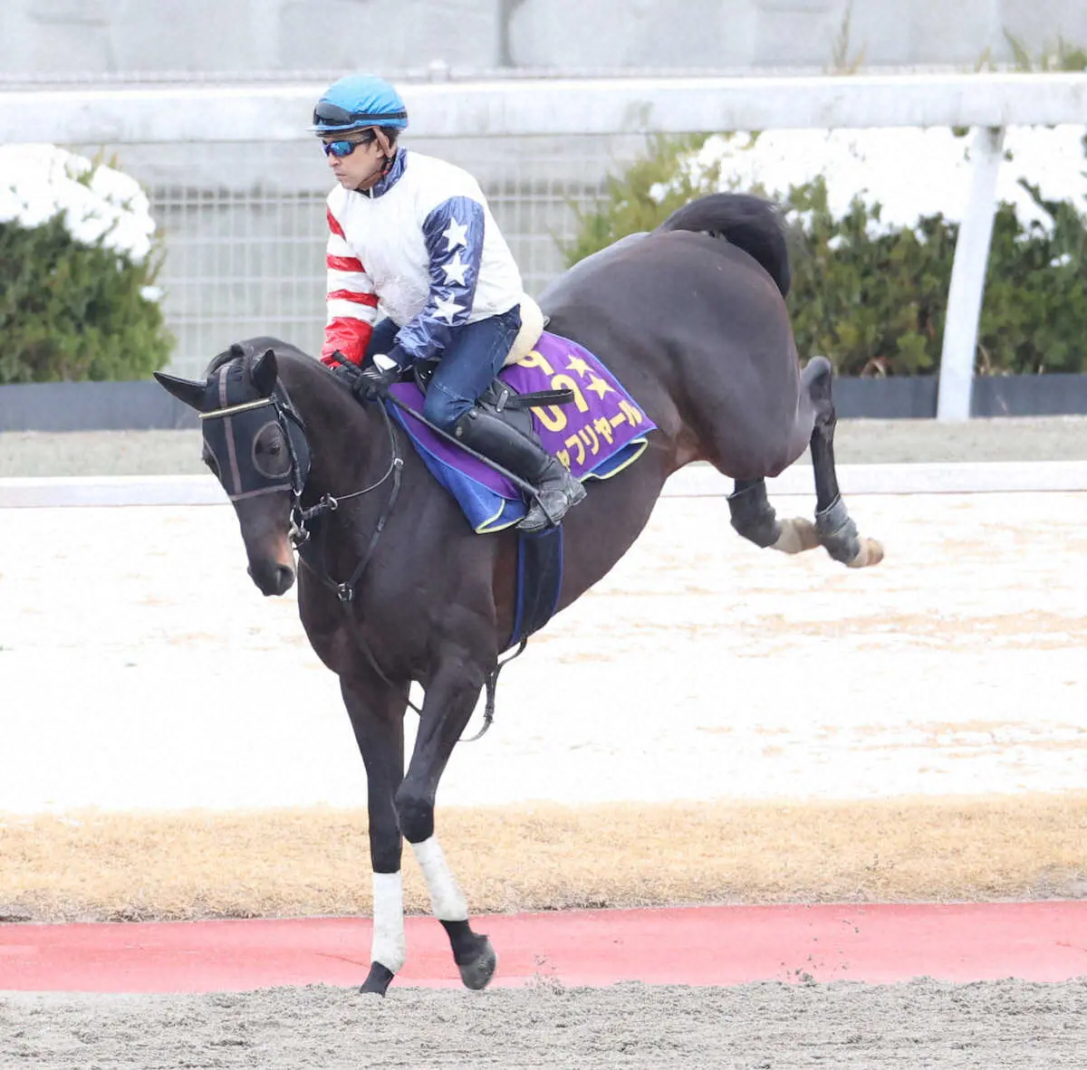 今月末で騎手引退の福永、栗東で最後の追い切り　シャフリヤールに騎乗「めっちゃ良かった」