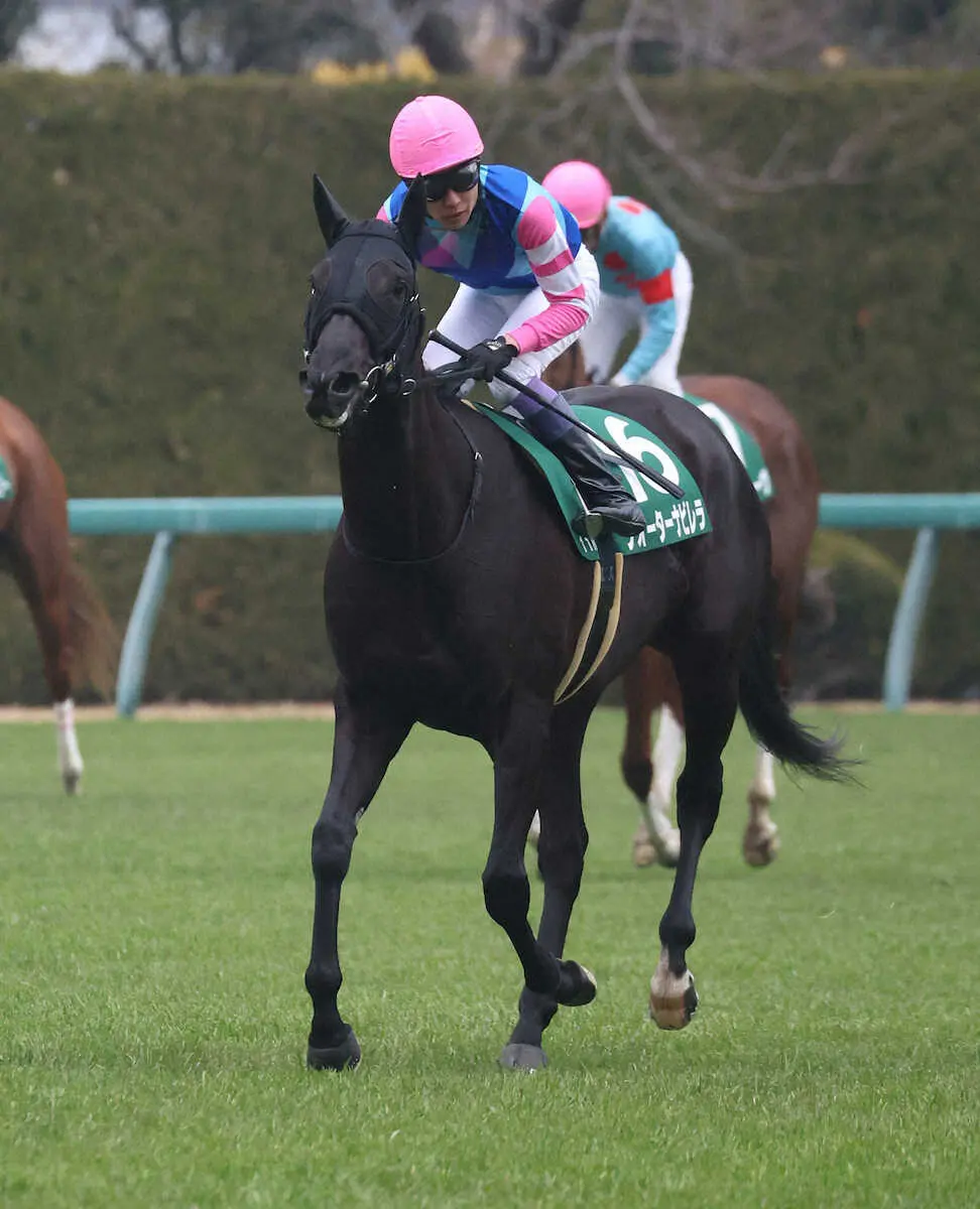 【京都牝馬S】武豊ウォーターナビレラは14着大敗…「直線を向く時に、本来の感じではなかった」