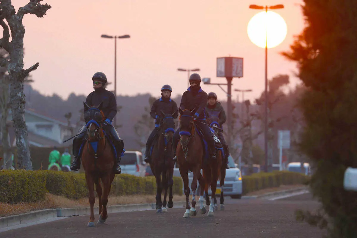 3月8日、日の出を背に調教へ向かう小栗厩舎の馬たち（撮影・亀井　直樹）