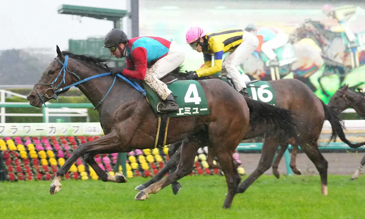 【フラワーC】エミュー　豪快な差し切りで重賞初勝利で桜花賞へ！　