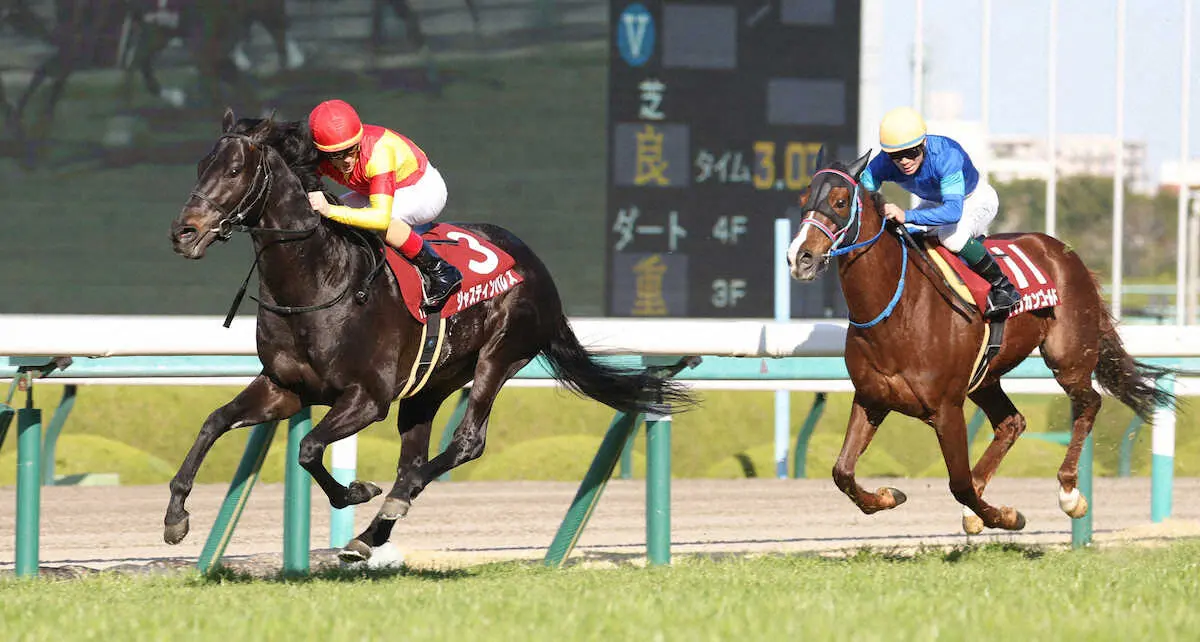 【阪神大賞典】ジャスティンパレスV　ルメール「G1レベルに行ける馬です」