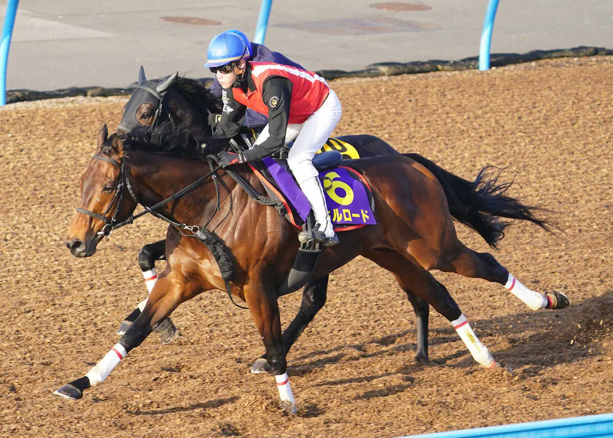 【高松宮記念】キルロード　重馬場なら活路、田村師太鼓判の仕上がり「凄く安定」