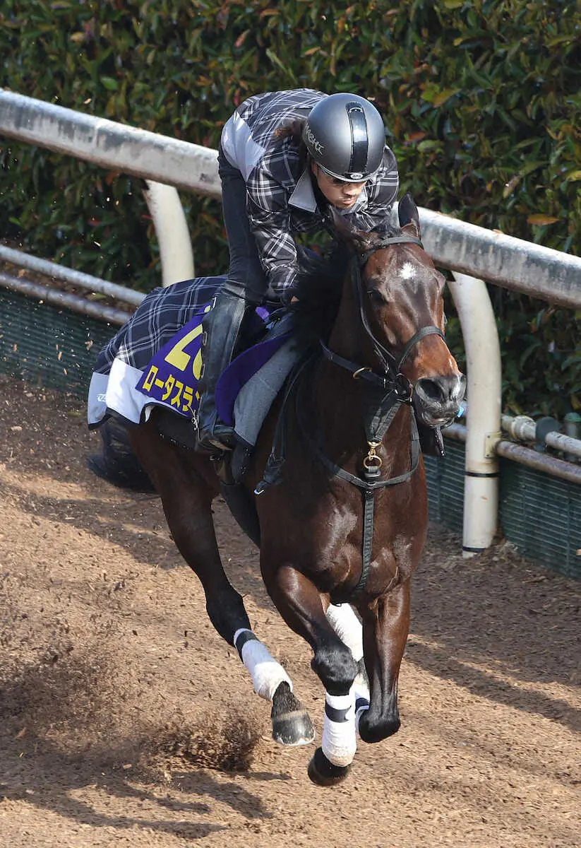 【高松宮記念】ロータスランド　手応え十分で坂路馬なり4F50秒1、陣営「状態上がっている」