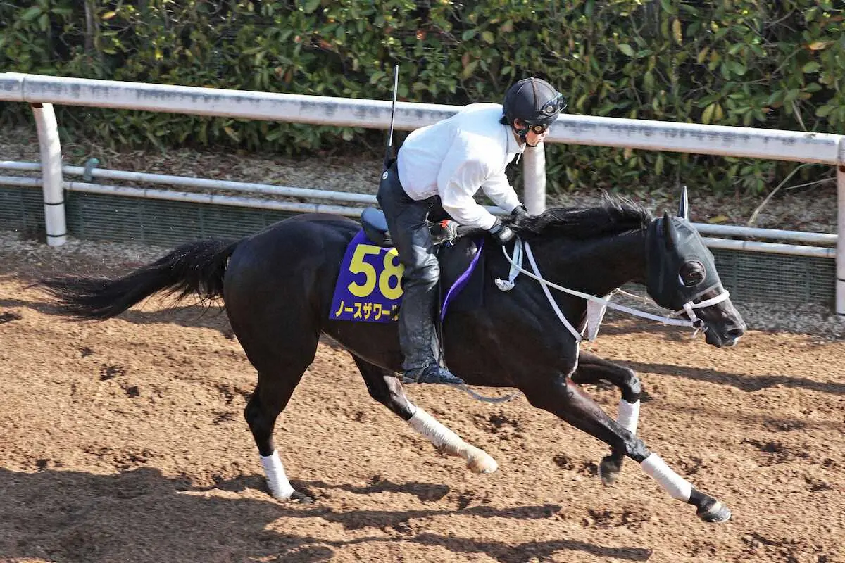 【大阪杯】ノースザワールド　サラッと馬なりで加速、大久保師「相手なりに走れるタイプ」