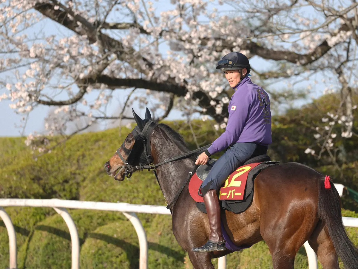 【桜花賞】ハーパー　今まさに成長中　クイーンＣからのローテ―ションは昨年の勝ち馬と同じ