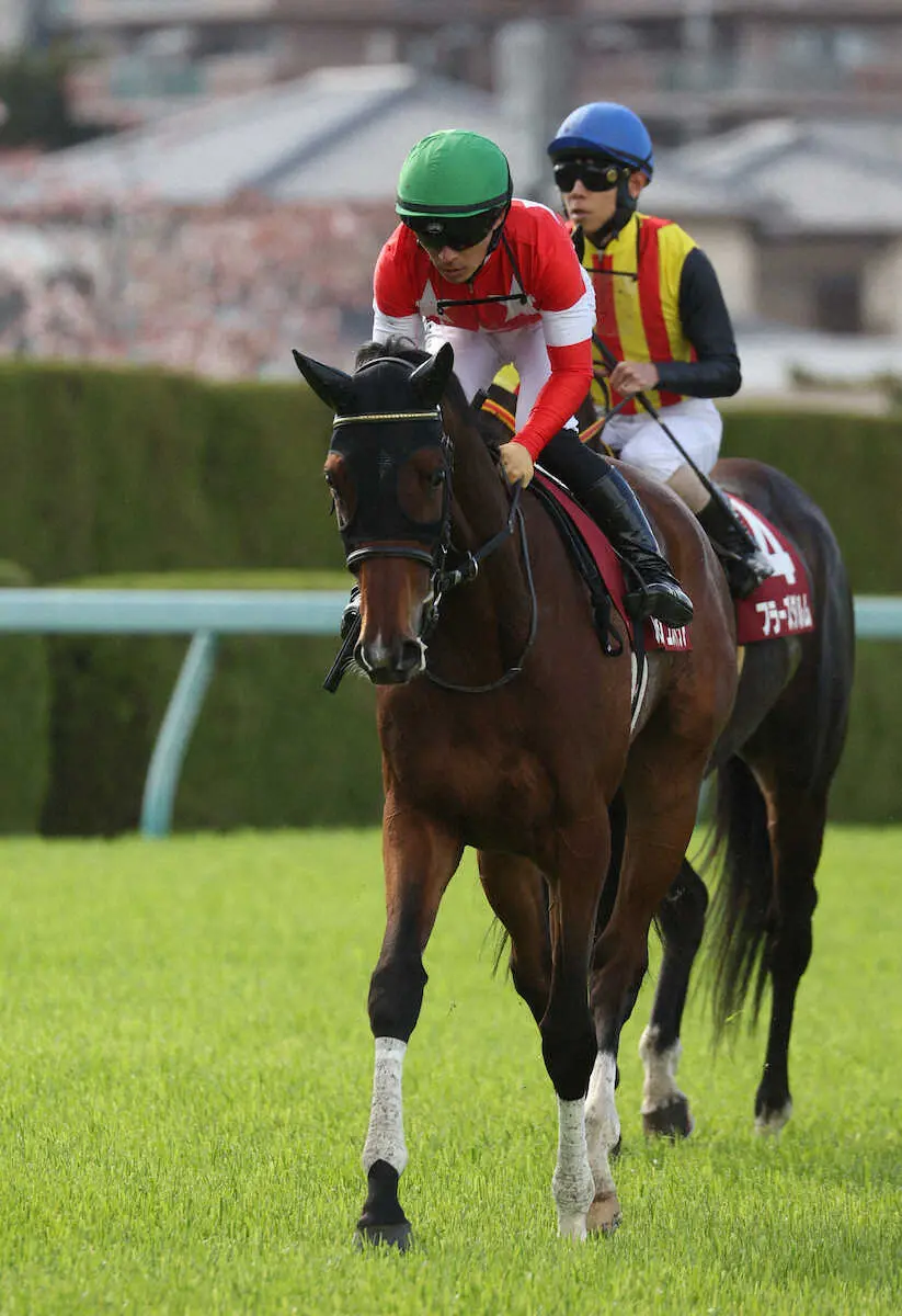 【阪神牝馬S】1番人気ルージュスティリア6着　直線で他馬と接触、川田「かわいそうな競馬に…」