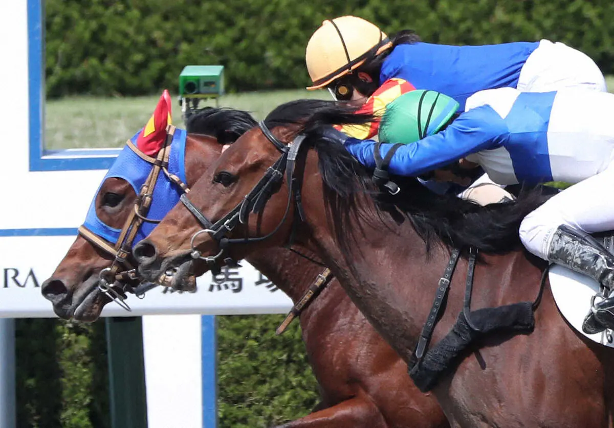 【阪神6R】エバニスタが勝利　古川奈穂「厩舎の方、馬にも感謝」