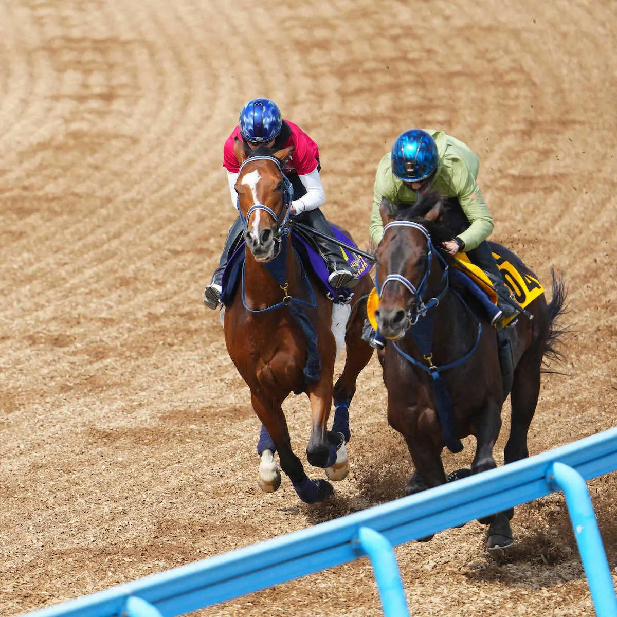 【皐月賞】ソールオリエンス　驚異の瞬間移動！併走馬あっさりかわしてラスト1F11秒2