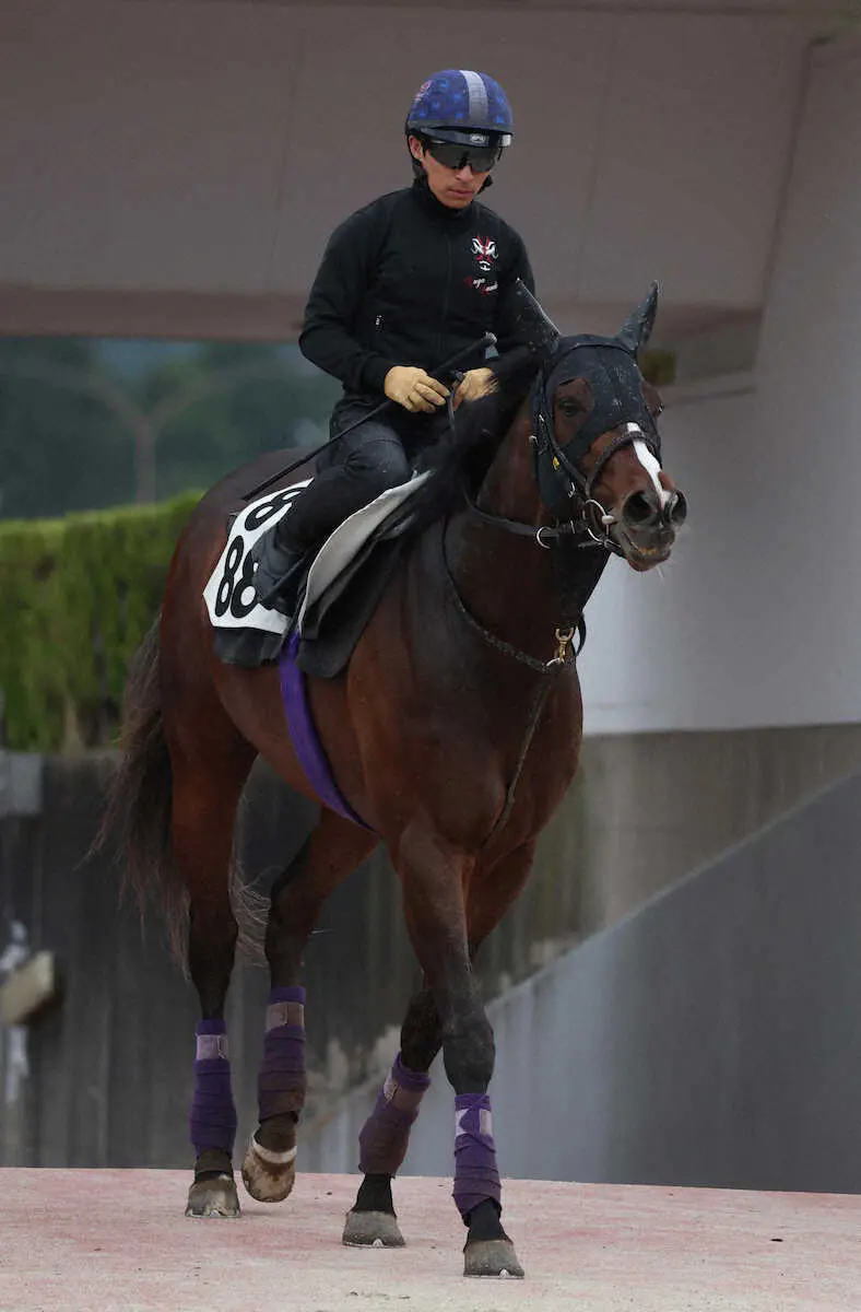 【新装・京都競馬場】長く脚を使える馬が強い　マイラーズＣはこの2頭に注目