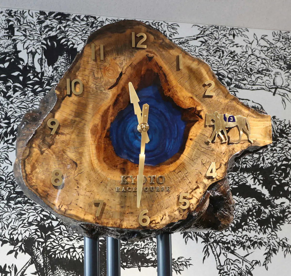 【新装・京都競馬場】旧パドックの象徴・モチノキ　時計へと生まれ変わって競馬を見つめる