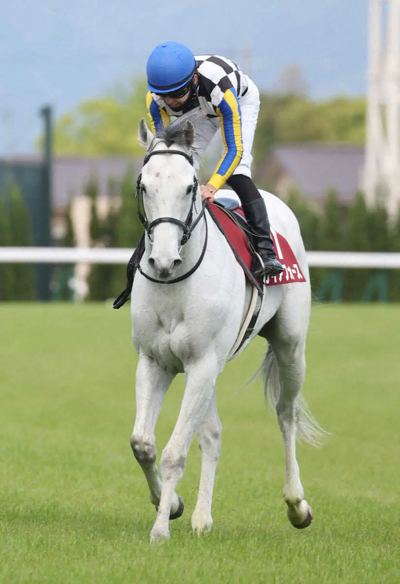 【マイラーズC】2着ガイアフォースの西村淳「初マイルでもいい競馬」「操縦性に優れた馬」