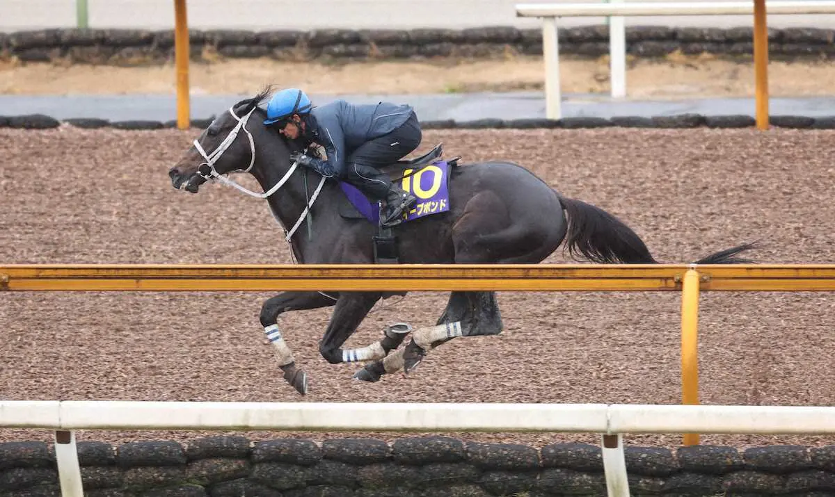 【天皇賞・春】ディープボンド　力強い脚さばき、和田竜「チャンスのある馬だし狙っていきたい」