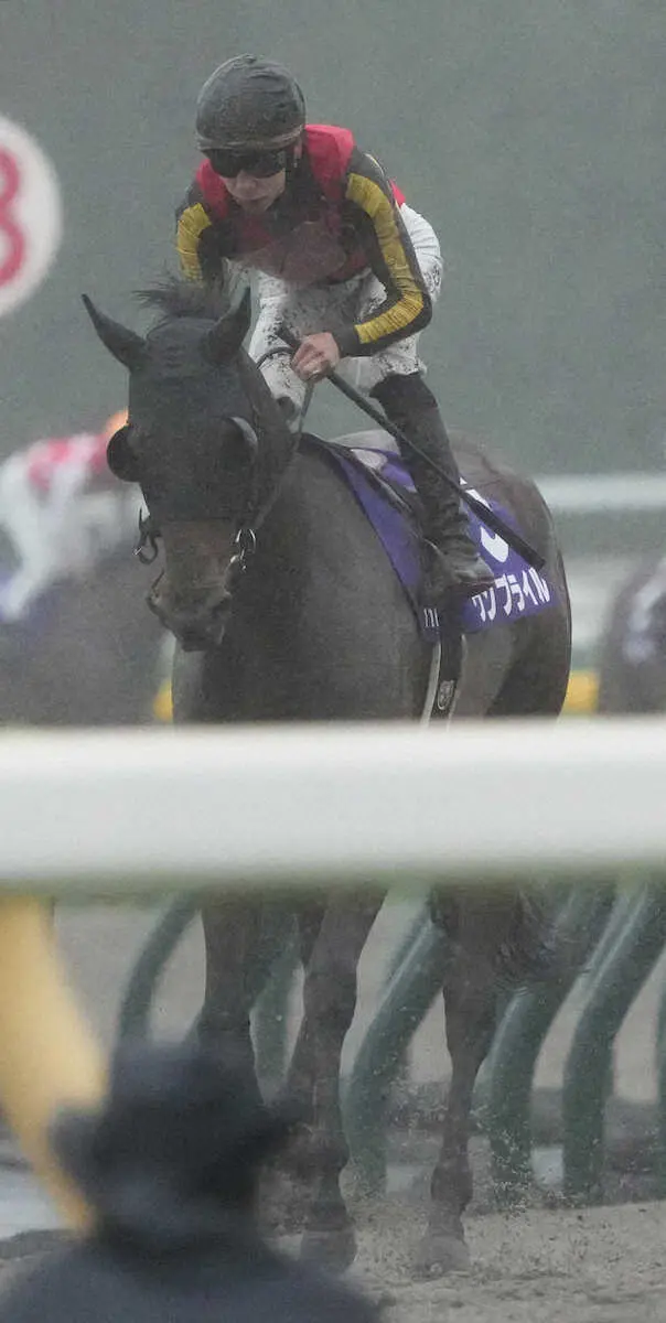 【NHKマイルC】8番人気ウンブライル2着　横山武「馬は最高だった。結果だけが残念」