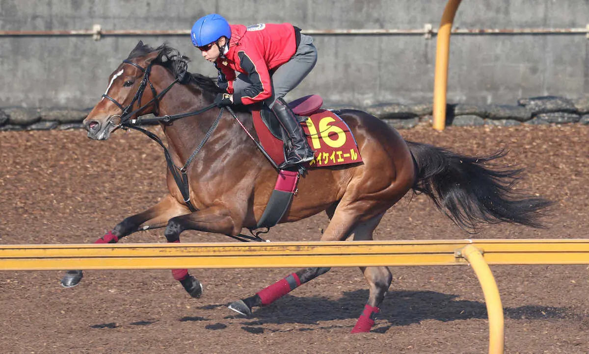 【ヴィクトリアM】メイケイエール　理想的なラップで満点、池添「うまくいった」