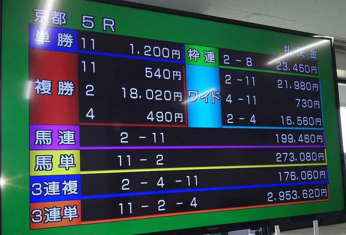＜京都5R＞JRAの複勝歴代最高配当を示すモニター
