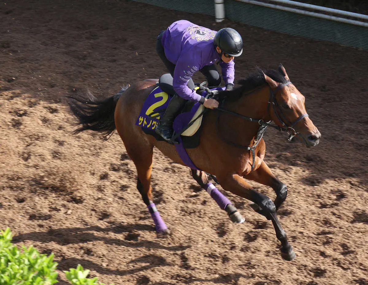 【日本ダービー】サトノグランツの川田「この馬自身がリズム良く走れる競馬を」