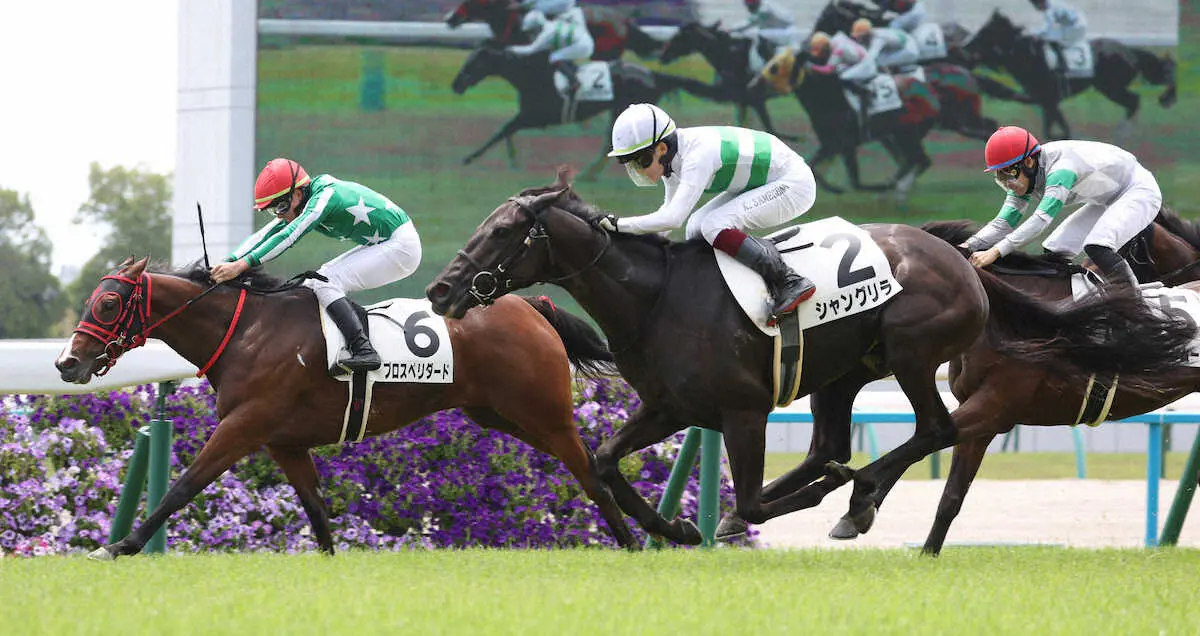 【京都4R】2Rで落馬の鮫島駿　シャングリラで勝利