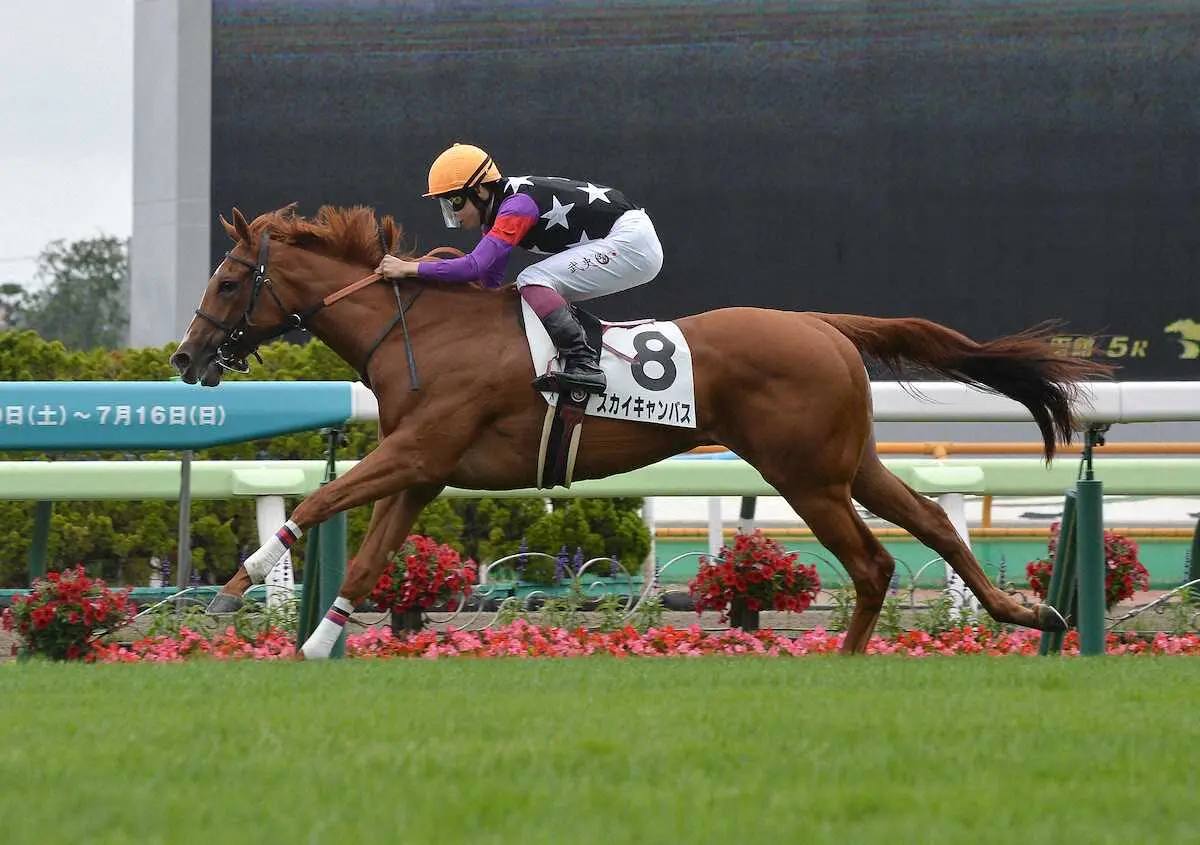 【函館5R】今年初の2歳新馬戦は、横山武史騎乗のスカイキャンバスが逃げ切り勝利