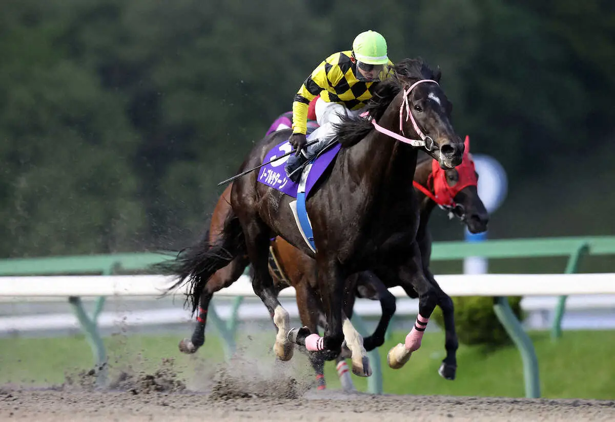 【水沢12R・一條記念みちのく大賞典】ノーブルサターン　岩手重賞4勝目狙う