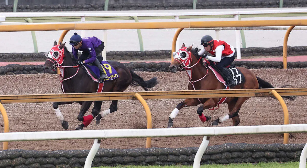 坂井瑠星を背にCウッドをモズアカボス（右）と併せ馬で追い切るユニコーンライオン