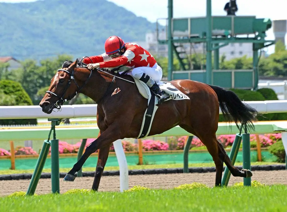 【函館5R新馬】圧倒的1番人気ルージュレベッカが逃げ切り勝ち！横山和「馬の能力と厩舎の努力のおかげ」