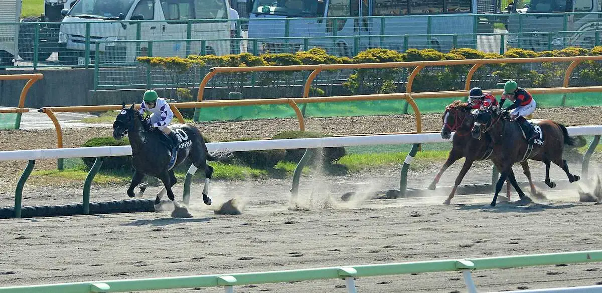 【函館11R・マリーンS】逃走ペプチドナイル大楽勝　2着に3馬身半差