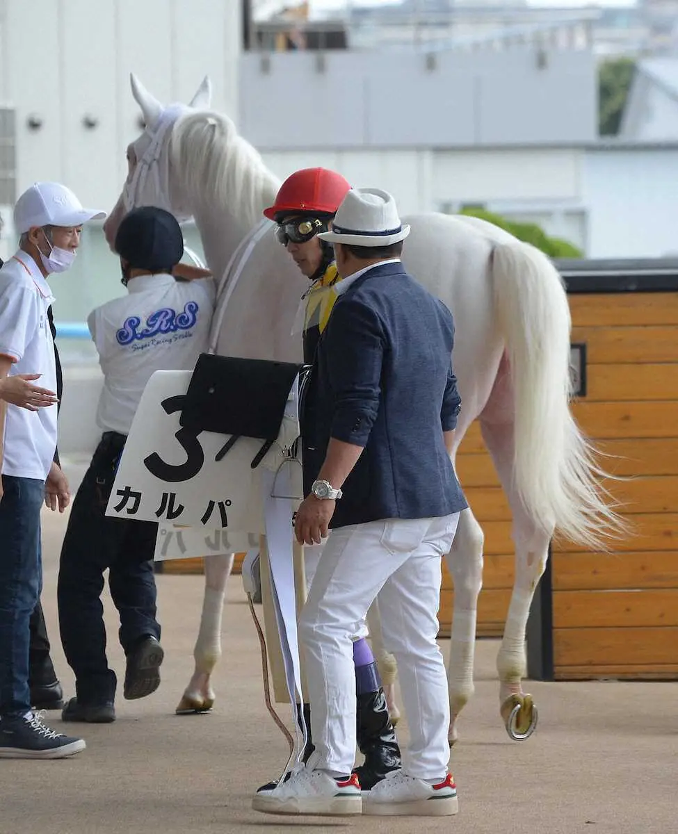 【函館5R】白毛カルパは3着　姉・ソダシ担当の今浪厩務員が観戦「よく頑張った。ドキドキの心境」