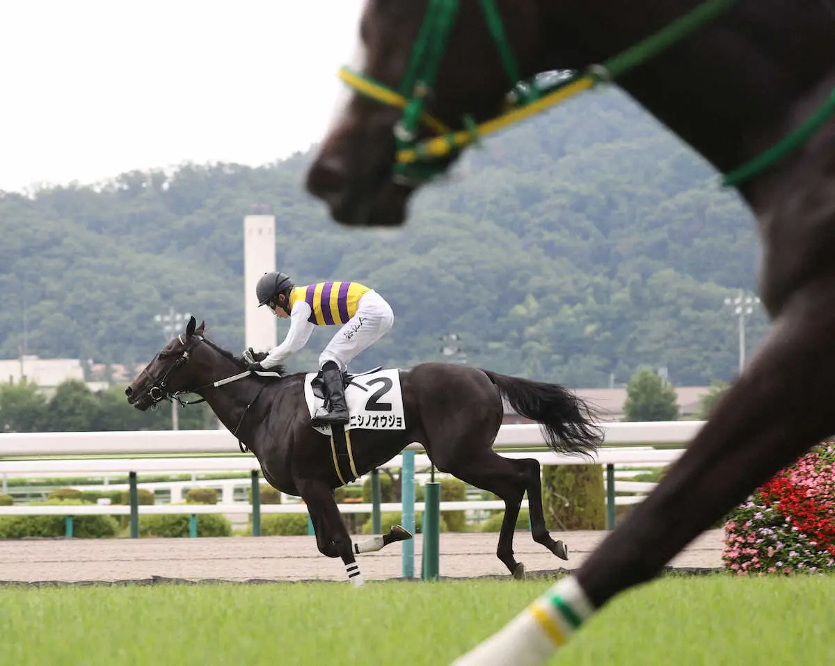 【福島6R新馬】ニシノオウジョ逃げ切り　石川「イメージ通りの走りでした」