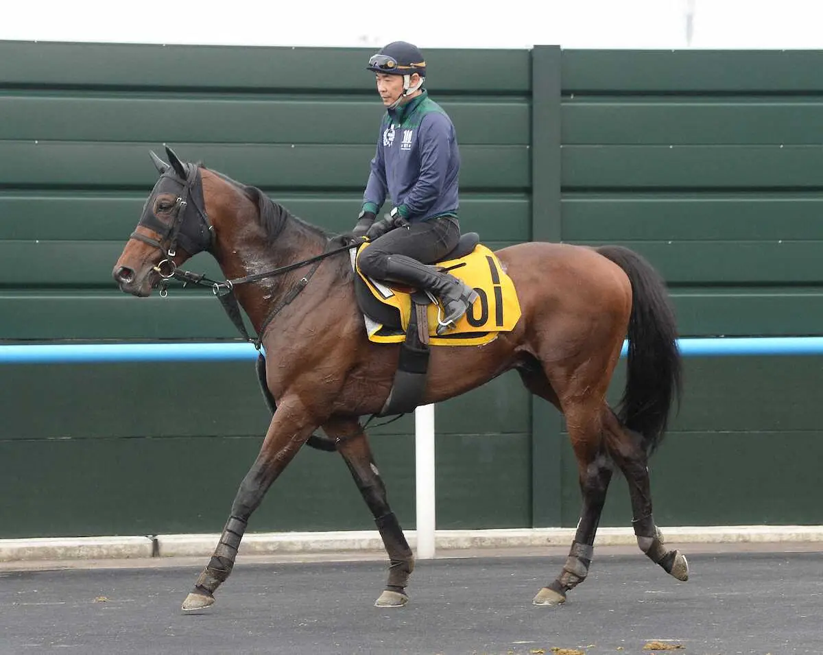 【函館記念】巴賞快勝のアラタ　条件整い、ここで悲願の重賞初制覇だ