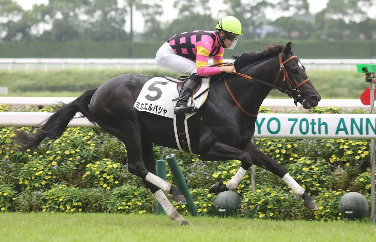 【中京5R・新馬戦】ミカエルパシャがハイレベルの一戦制した　松山「強い競馬」